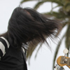 Redd Kross - Indie West Fest 2011